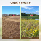 🔥BUY 2 GET 1 FREE🔥Soil Improvement Loosening Agent