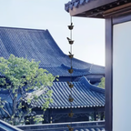 🔥Where Rain Meets Art – Decorative Rain Chain with Bird Bath Design