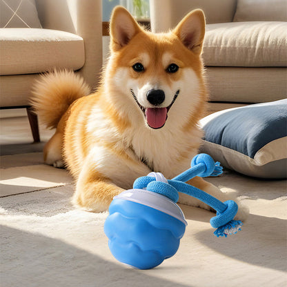 🎄Interactive Electronic Pet Soothing Toy Ball