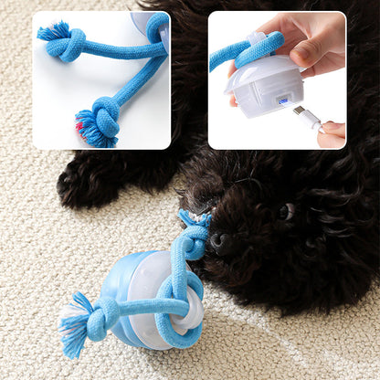 🎄Interactive Electronic Pet Soothing Toy Ball