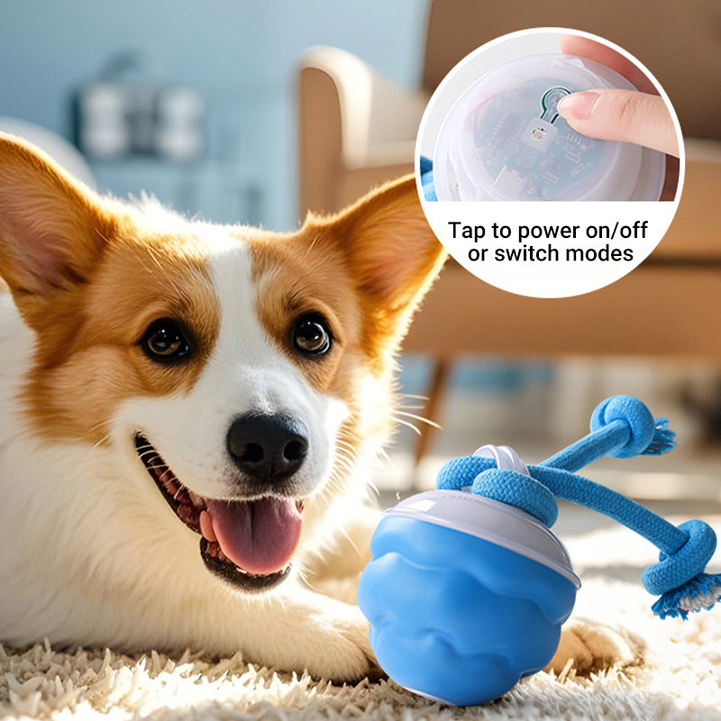 🎄Interactive Electronic Pet Soothing Toy Ball