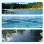 🔥2025 Hot Sale🔥Fishing Gill Net with Spring Bait Trap