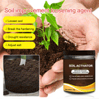 🔥BUY 2 GET 1 FREE🔥Soil Improvement Loosening Agent