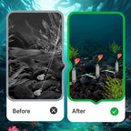 🔥3 Hooks Anti Drift Bottom Fishing Rig