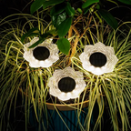 Solar-Powered Waterproof Outdoor Decorative Light