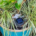 Solar-Powered Waterproof Outdoor Decorative Light