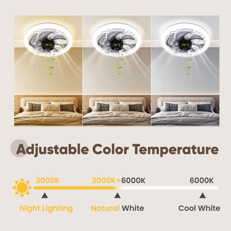 ✨ Summer 54% Price ❄️Remote Control Ceiling Fan with Light