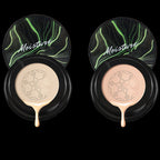 Natural Finish Coverage Powder Foundation