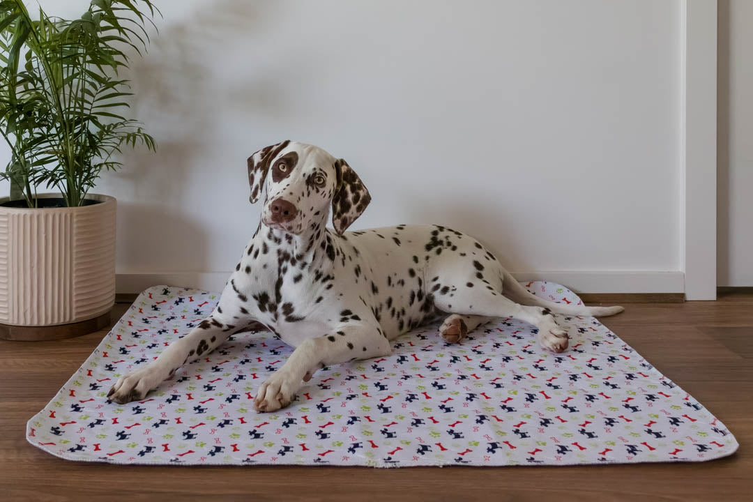 🐶😸Premium Reusable Super Absorbent PuppyPad🐾 (Kitten & Other Pets)