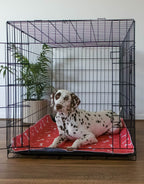 🐶😸Premium Reusable Super Absorbent PuppyPad🐾 (Kitten & Other Pets)