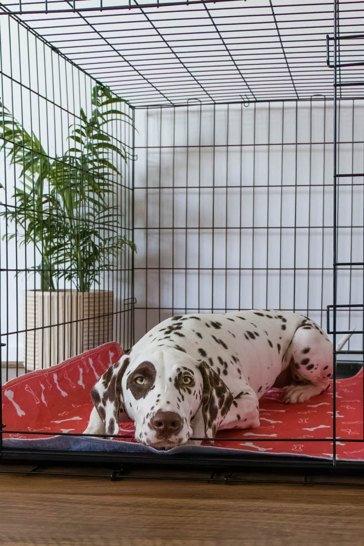 🐶😸Premium Reusable Super Absorbent PuppyPad🐾 (Kitten & Other Pets)