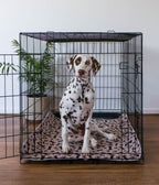 🐶😸Premium Reusable Super Absorbent PuppyPad🐾 (Kitten & Other Pets)