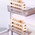 4-Tier Tilted Design Egg Storage Rack