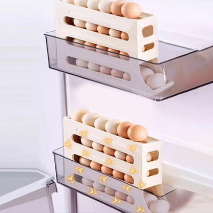4-Tier Tilted Design Egg Storage Rack