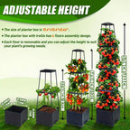 Garden Raised Bed Planter Boxes with Trellis