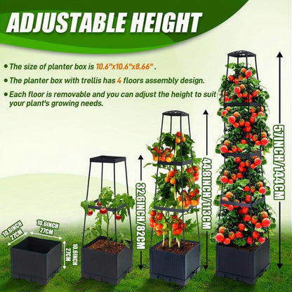 Garden Raised Bed Planter Boxes with Trellis