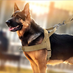 ✨Heavy-Duty Tactical Dog Harness with Handle🐕
