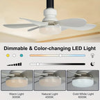 🔥2-IN-1 PORTABLE CEILING FAN & LIGHT with Remote Control