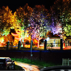 🌳💡 Ring-Shaped Solar Tree Lights – Weatherproof Outdoor Spotlights Ideal for Trees, Pillars, and Gardens